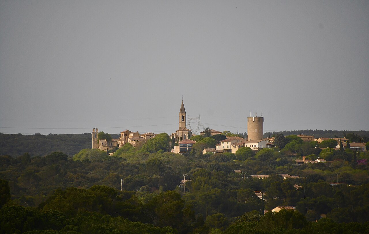 Hôtel Le Vieux Castillon