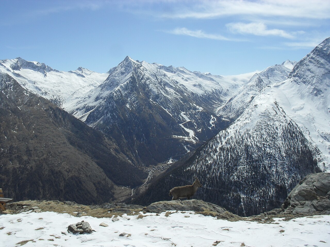 The Capra Saas-Fee