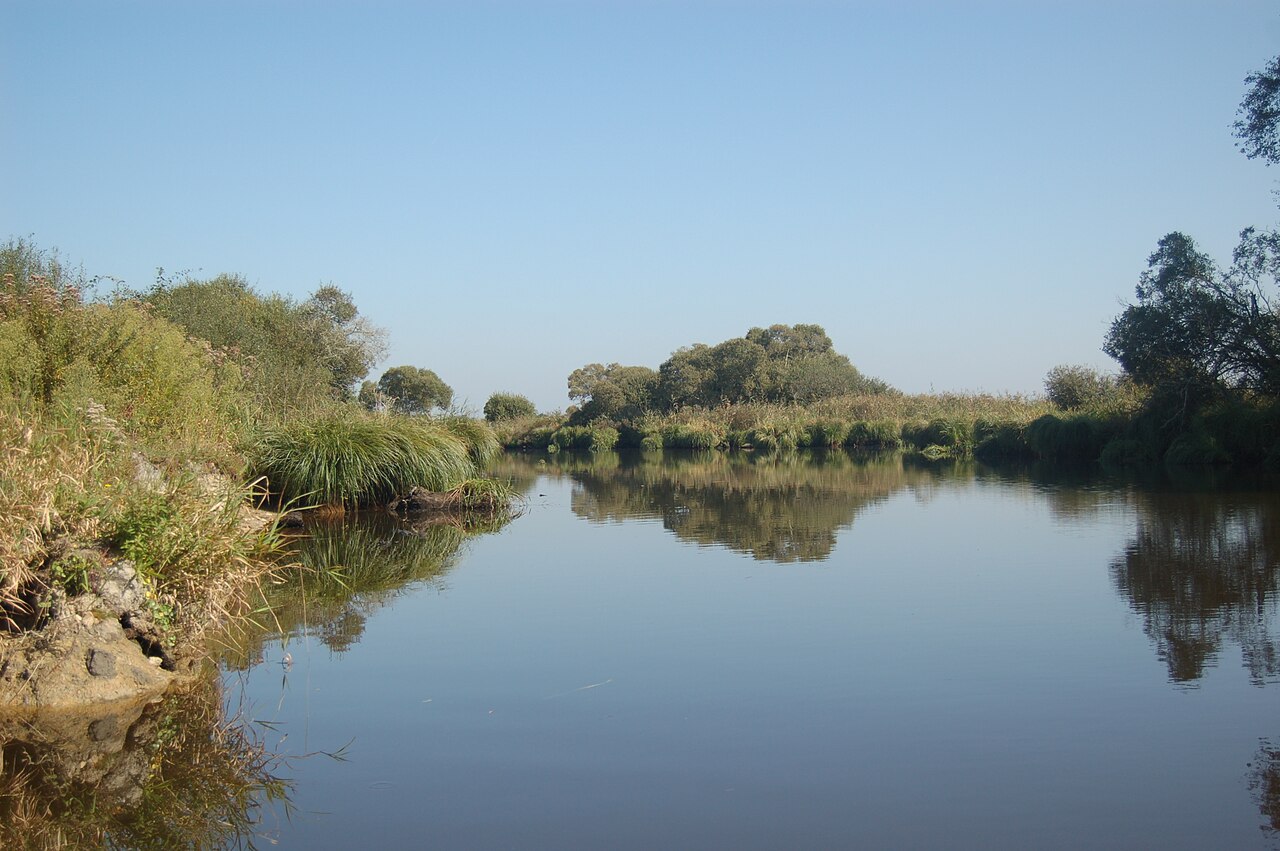 Parc naturel régional de Brière