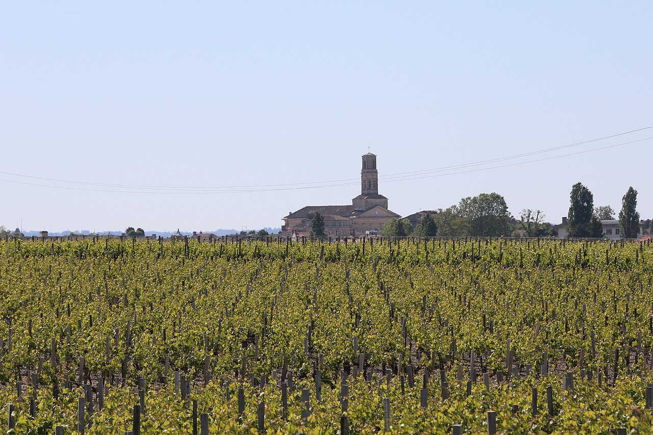 Route des châteaux du Médoc